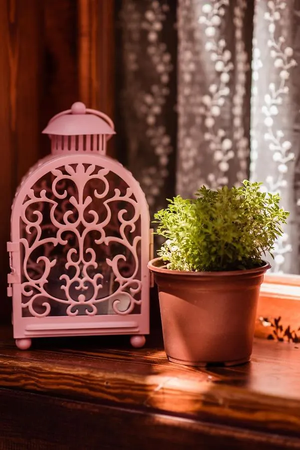 Lily Town Hotel Antalya Hostel